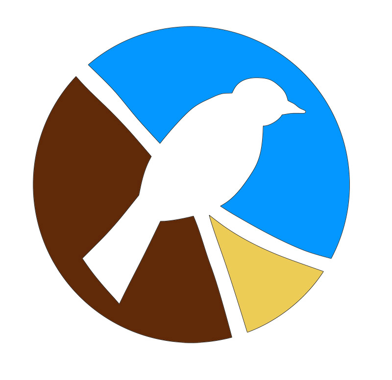 Yoga Birds